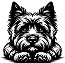 Aufkleber Cairn Terrier Kopf