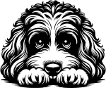 Aufkleber Cavapoo Kopf