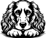 Aufkleber Cocker Spaniel Kopf