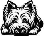 Aufkleber West Highland Terrier Kopf