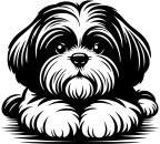 Aufkleber Shih-Tzu Kopf