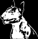 Aufkleber Bullterrier Kopf