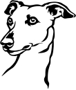 Aufkleber Whippet Kopf