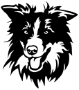 Aufkleber Border Collie