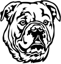 Aufkleber Continental Bulldog Kopf