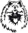 Aufkleber Wolfsspitz Kopf