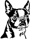 Aufkleber Boston Terrier Kopf