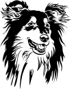 Aufkleber Collie Kopf