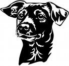 Aufkleber Jack Russell Terrier