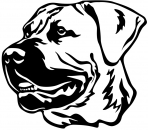 Aufkleber Boerboel Kopf