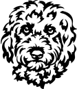 Aufkleber Cavapoo Kopf