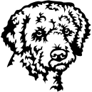 Aufkleber Lagotto Kopf