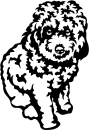 Aufkleber Cavapoo