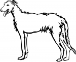 Aufkleber Galgo