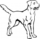 Aufkleber Labrador