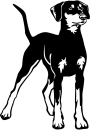 Aufkleber Deutscher Pinscher