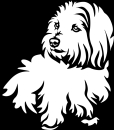 Aufkleber Coton de Tulear