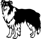 Aufkleber Collie