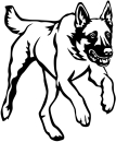 Aufkleber Malinois