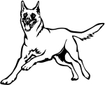 Aufkleber Malinois