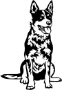 Aufkleber Australian Cattle Dog