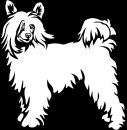 Aufkleber Chinese Crested