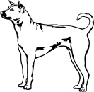 Aufkleber Thai Ridgeback