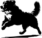 Aufkleber Berner Sennenhund