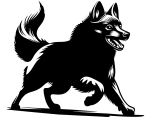 Aufkleber Schipperke