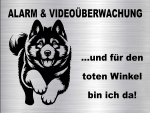 Hundeschild American Akita