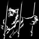 Agility Australian Shepherd Silhouette