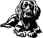 Aufkleber Boykin Spaniel