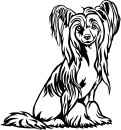 Aufkleber Chinese Crested