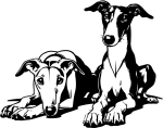 Aufkleber Galgo