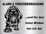 Hundeschild Deutsch Drahthaar