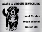 Hundeschild Großer Schweizer Sennenhund