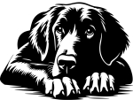 Aufkleber Flat-coated Retriever Kopf