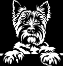 Aufkleber Cairn Terrier Kopf