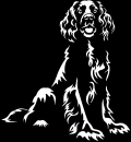 Aufkleber Boykin Spaniel