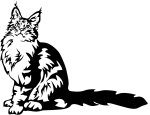 Aufkleber Maine Coon