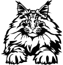 Aufkleber Maine Coon