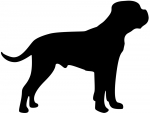 Cane Corso Silhouette