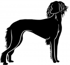 Aufkleber Saluki stehend Silhouette