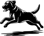 Labrador stehend Silhouette