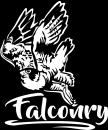 Aufkleber Falknerei (falconry) - Wanderfalke im Flug *für dunkle Hintergründe