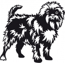 Aufkleber Affenpinscher