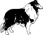 Aufkleber Collie