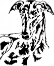 Aufkleber Galgo Kopf