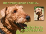 Aluminiumschild Airedale Terrier