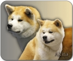 Mousepad Akita